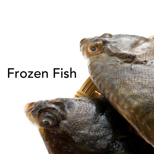 冷凍魚